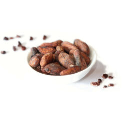 Ganze Kakaobohnen der Sorte Criollo in Bio- und Rohkostqualität von Naturkostbar