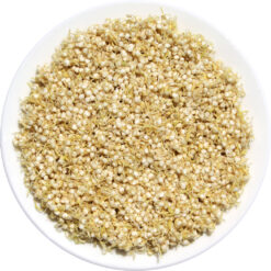 Akarma Test: Keimung des weißen Quinoas von Rapunzel, Keimdauer: 16 Stunden, 4 Stunden eingeweicht